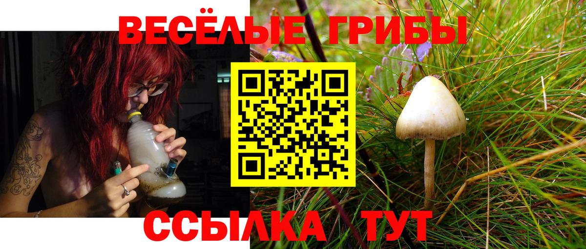 Псилоцибиновые грибы GOLDEN TEACHER  дарнет шоп  Санкт-Петербург  Галлюциногенные грибы мицелий  Вход с VPN 
