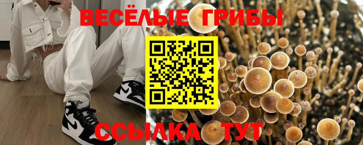 Галлюциногенные грибы GOLDEN TEACHER Санкт-Петербург